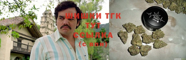 трава Аркадак