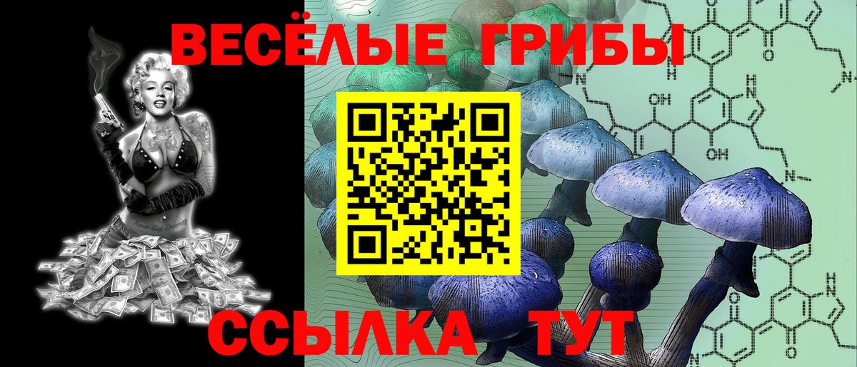 Псилоцибиновые грибы MAGIC MUSHROOMS  купить закладку  Заринск  Вход с VPN 