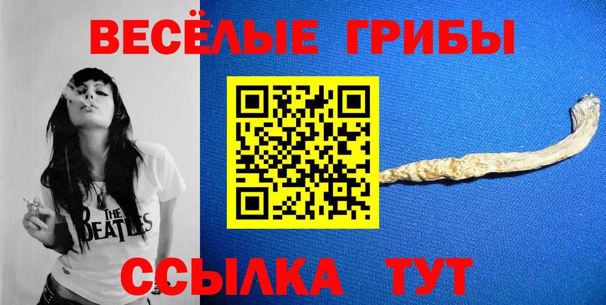 Галлюциногенные грибы Psilocybe Заринск